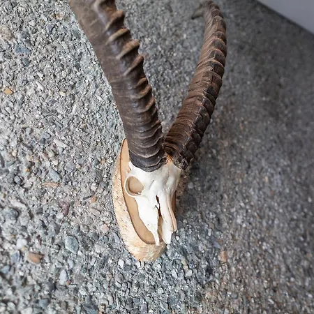 Longhin Szálloda Maloja