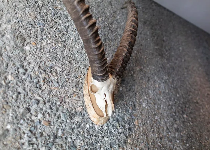 Longhin Hotel Maloja